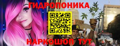 а пвп мука Ачхой-Мартан