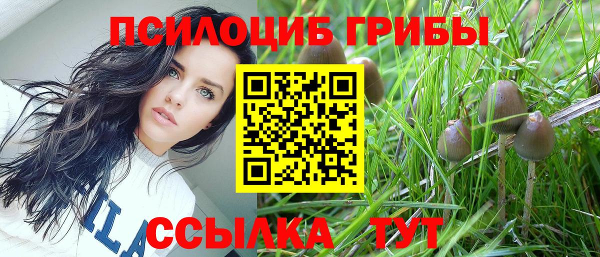 Лабинск  наркота  Вход с VPN  Галлюциногенные грибы Magic Shrooms 